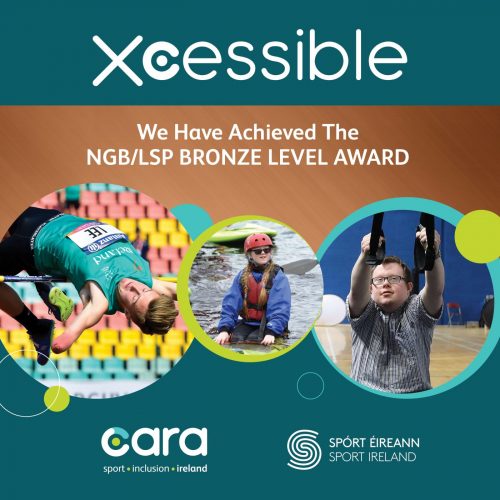 Xcessible Bronze Award